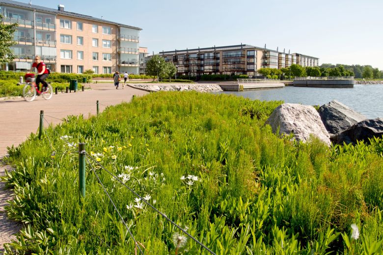 Ihmisiä kävelee ja pyöräilee vehreällä rantaraitilla vesistön ääressä.